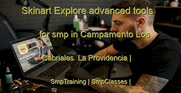 Skinart Explore advanced tools for smp in Campamento Los Cabriales  La Providencia | SmpTraining | SmpClasses | SkinartTraining-Mexico